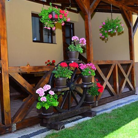 Casa Pricas Vila Moieciu de Jos Exterior foto